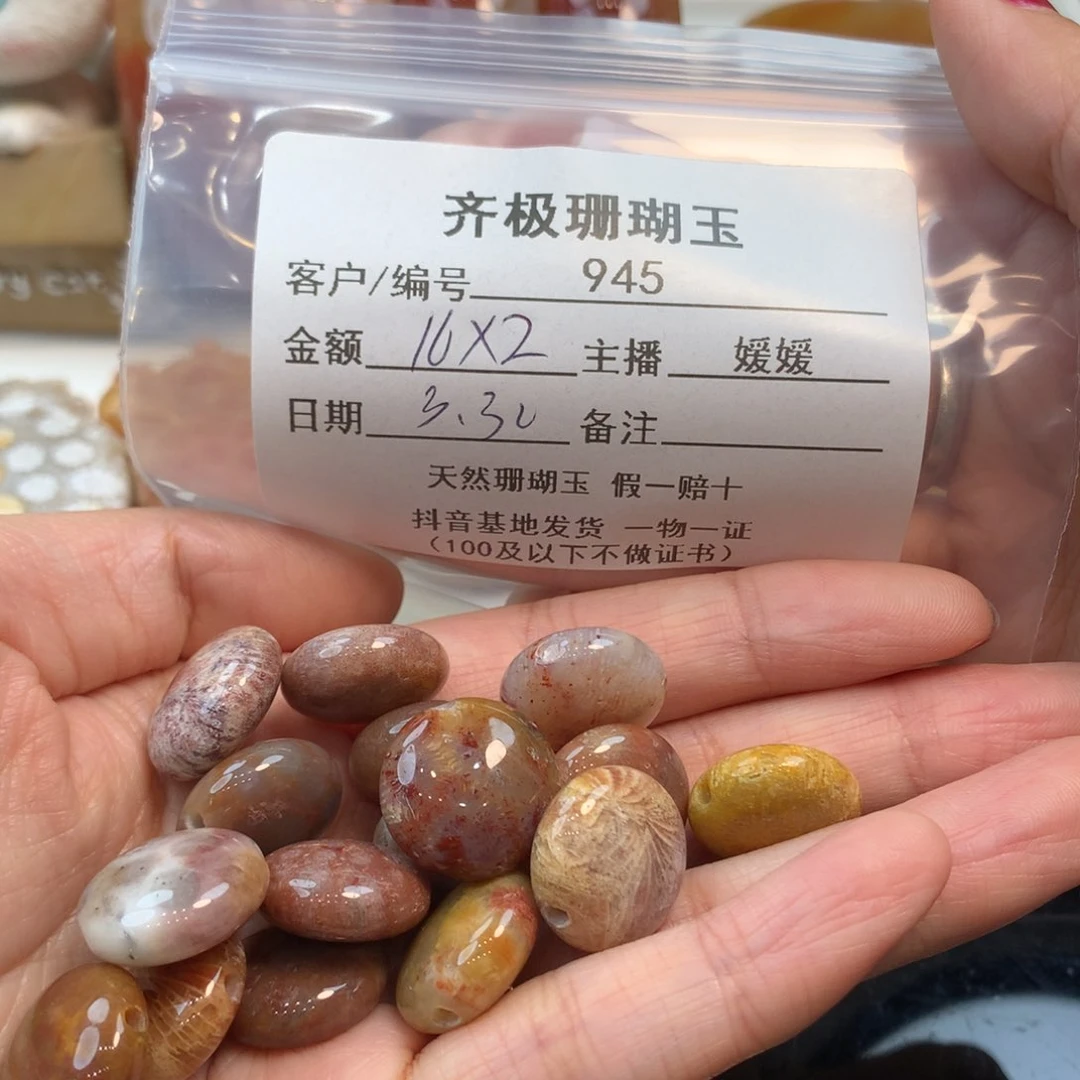 硅化珊瑚（珊瑚玉）未镶嵌颈饰骨**?