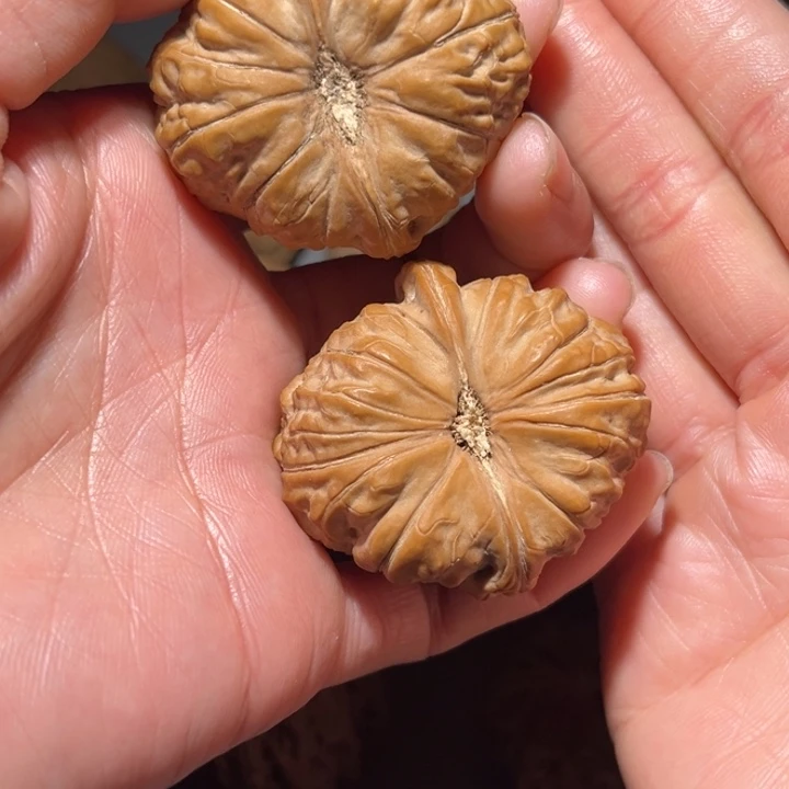 h***發木质类南瓜45文玩