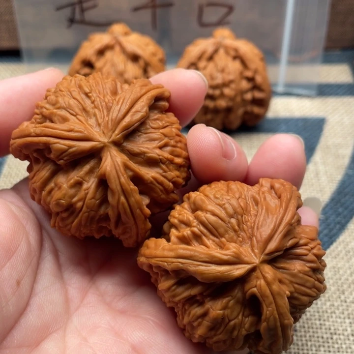 拿****核桃白狮子44核桃