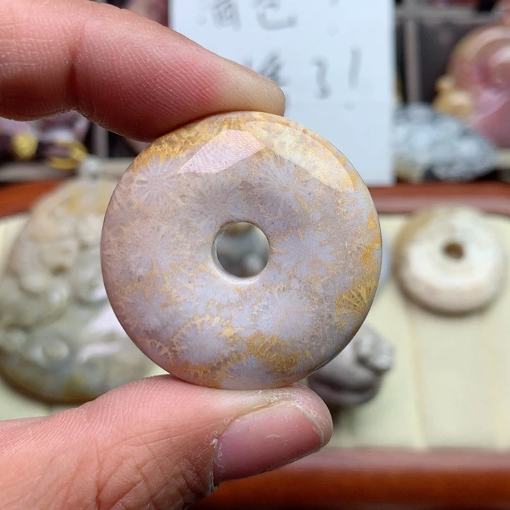 硅化珊瑚（珊瑚玉）颈饰未镶嵌