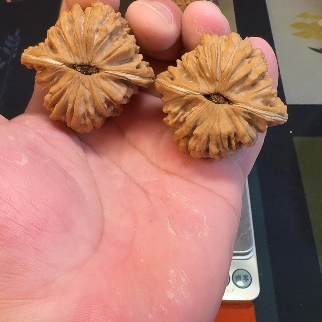 丶***牛文玩核桃吊坠47楼子