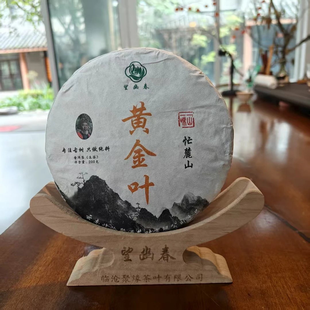 2024年忙麓山黄金叶 头春头采 普洱生茶 200克饼