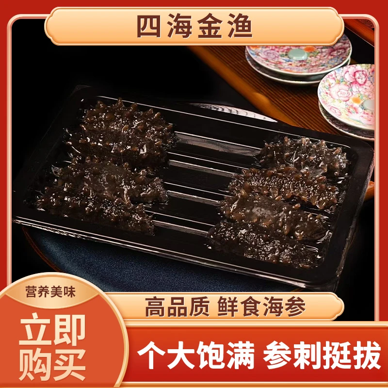 四海金渔15-25头正宗传统大连辽刺参即食刺参口感Q弹营养高品质