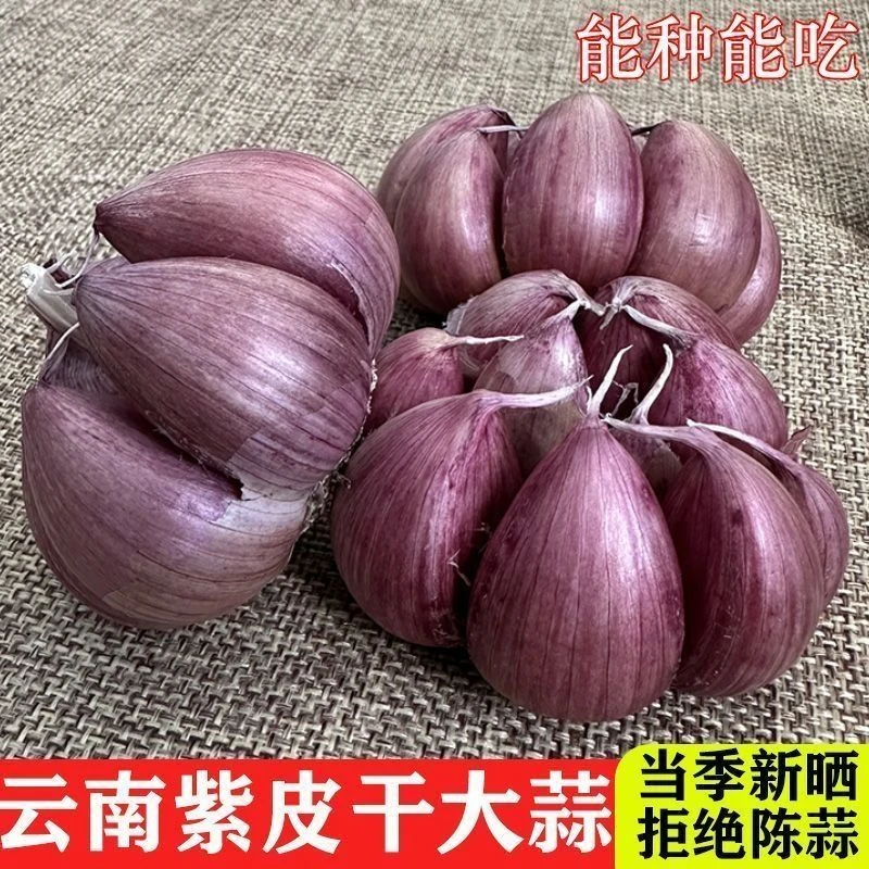 云南蒜鲜干蒜☞现货现发！产地直销！♥我们只做质量♥！！！农家