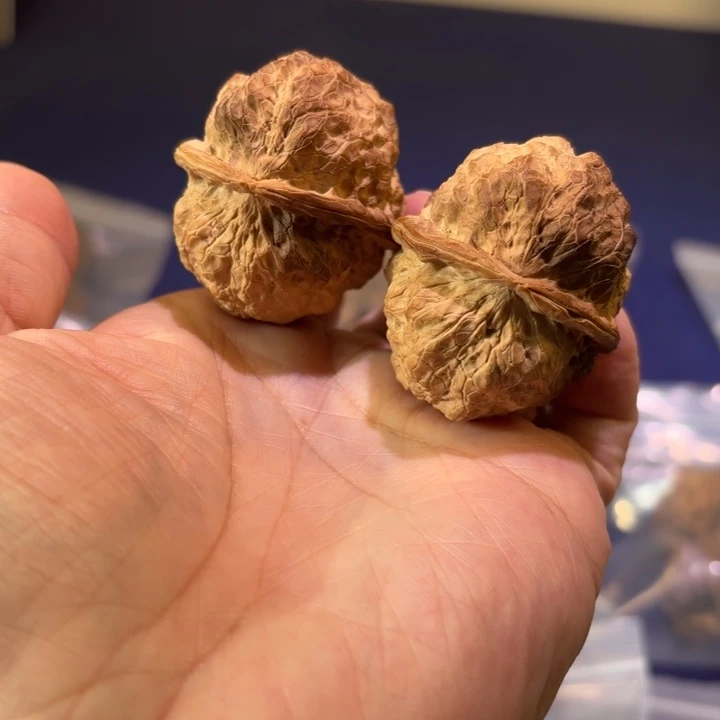 文玩核桃吊坠乾坤金蟾