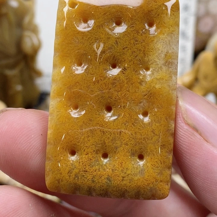 颈饰未镶嵌硅化珊瑚（珊瑚玉）