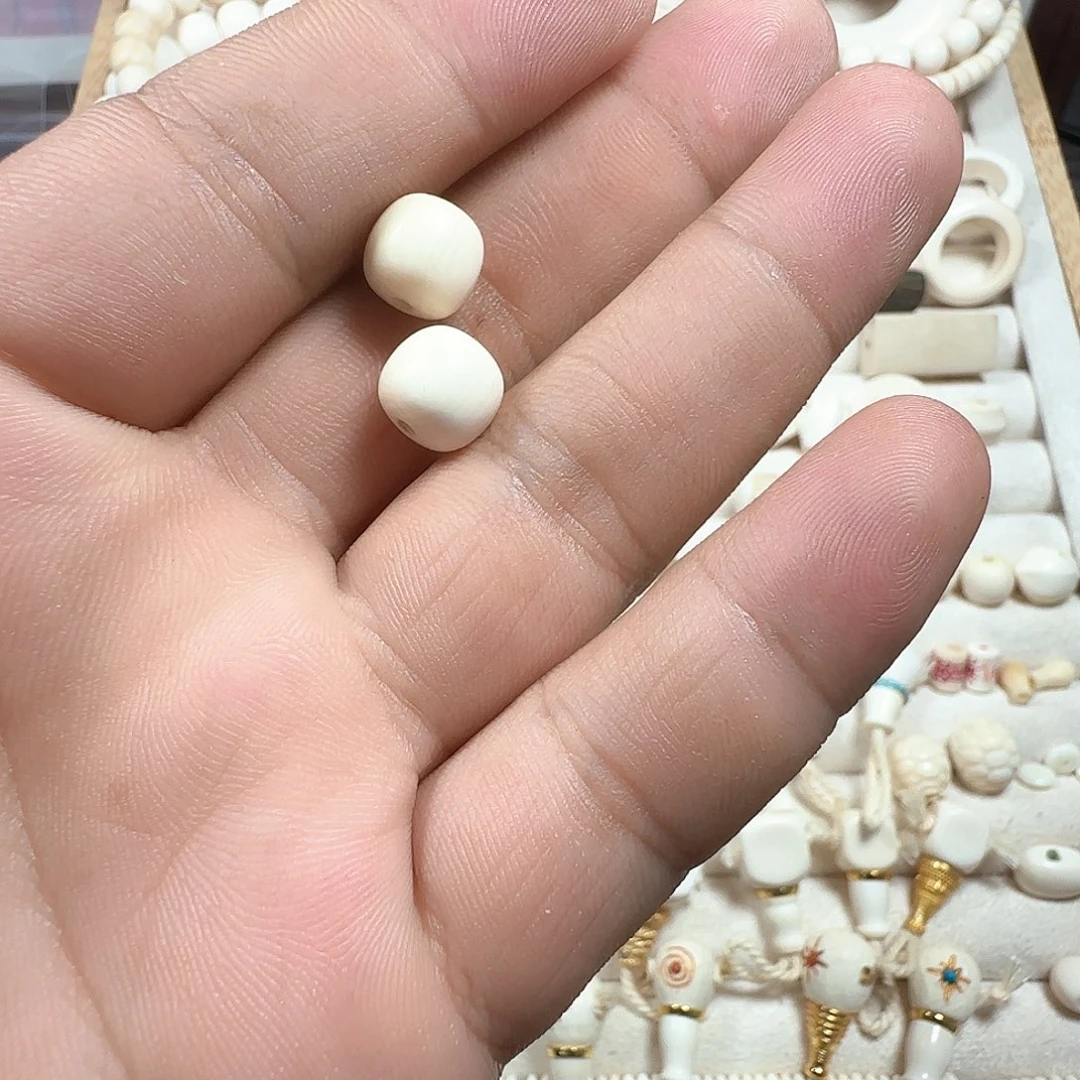 桐****木猛犸牙9✖️10老型两颗