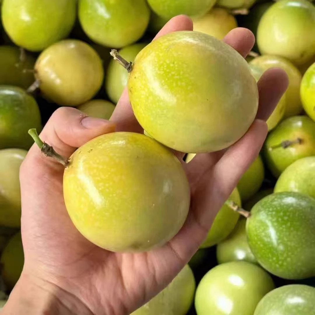 当季水果徐闻百香果新鲜现摘酸甜多汁