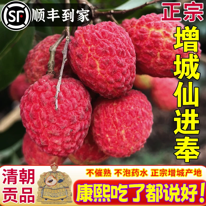 顺丰空运广东增城仙进奉荔枝正宗整箱礼盒空运新鲜应季水果香甜