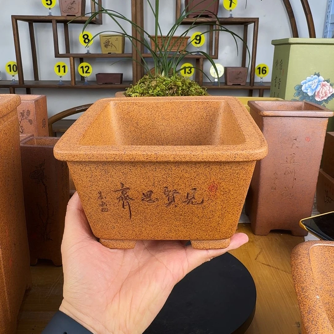 紫砂花盆微***礼紫砂花盆