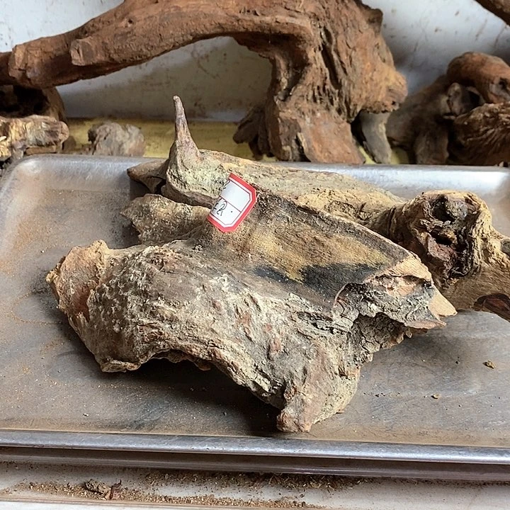 花梨木类跬***里海南黄花梨木