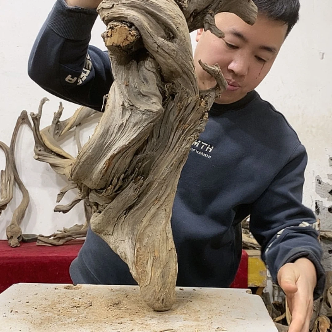 【闪购商品】柏木无*谓我们都是好孩子