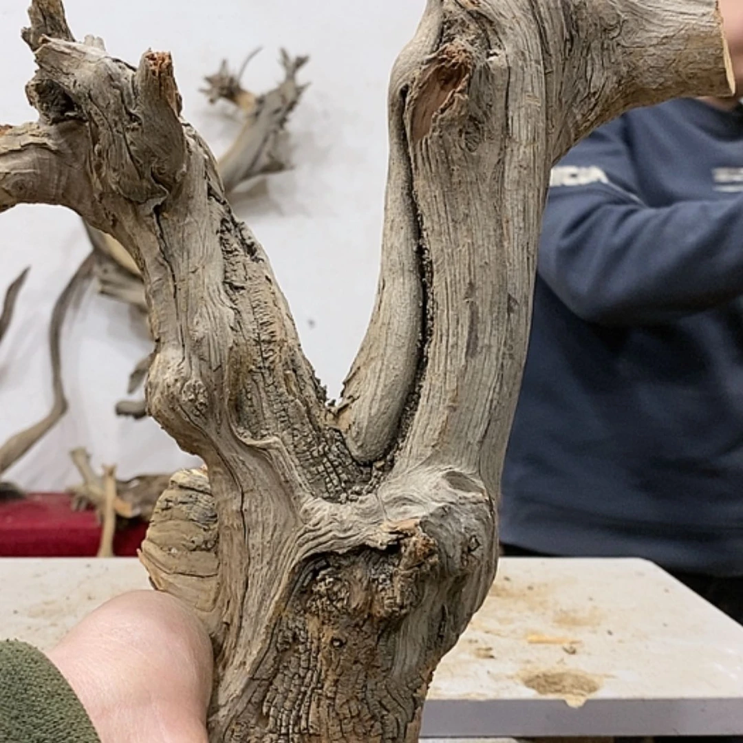 【闪购商品】柏木橡***你我们都是好孩子