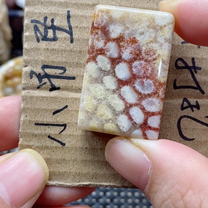 硅化珊瑚（珊瑚玉）颈饰未镶嵌