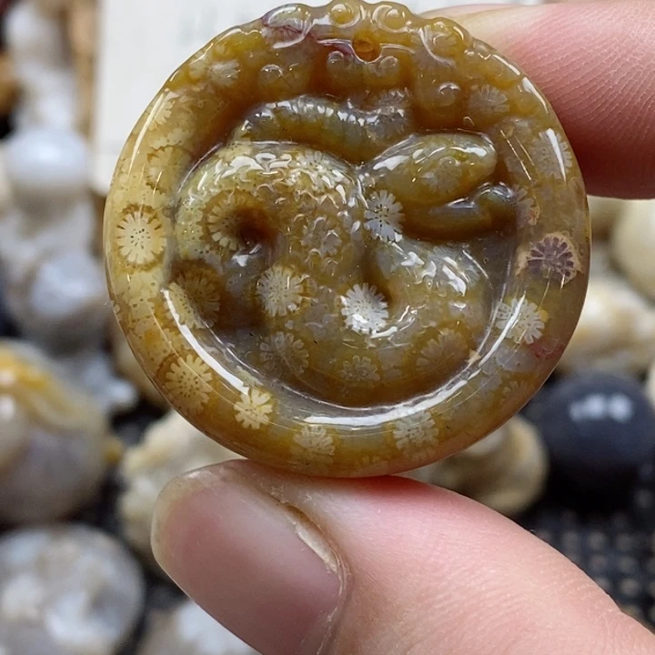 颈饰未镶嵌硅化珊瑚（珊瑚玉）小