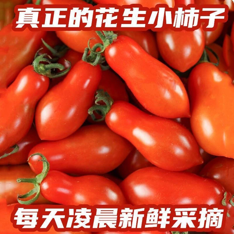 正宗东北草莓小番茄草莓水果小柿子甜口多汁回甘回甜