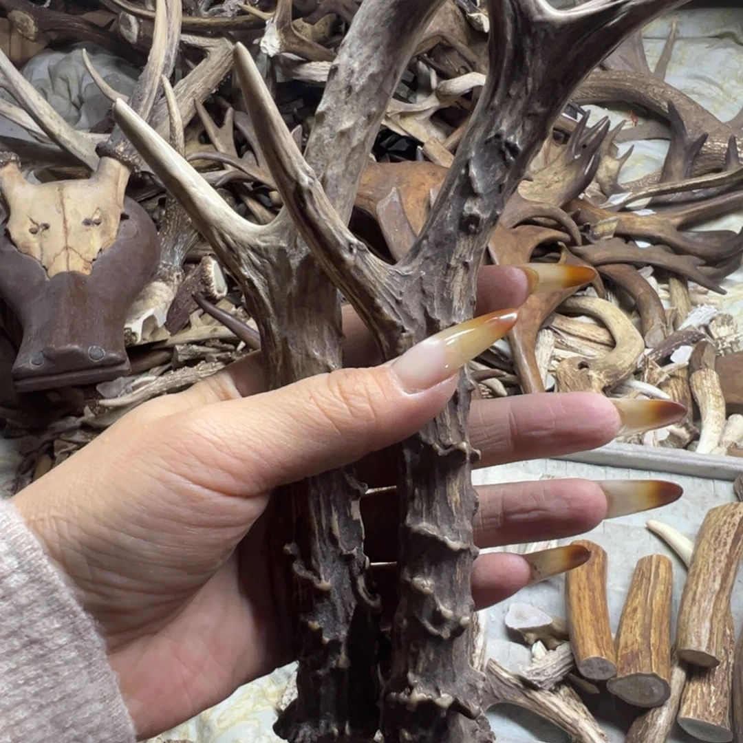 鹿骨手串/手链鹿角878号