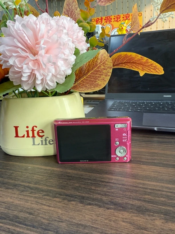 95新 Sony/索尼 索尼w530 人像冷白皮出片清晰自然1410万像素