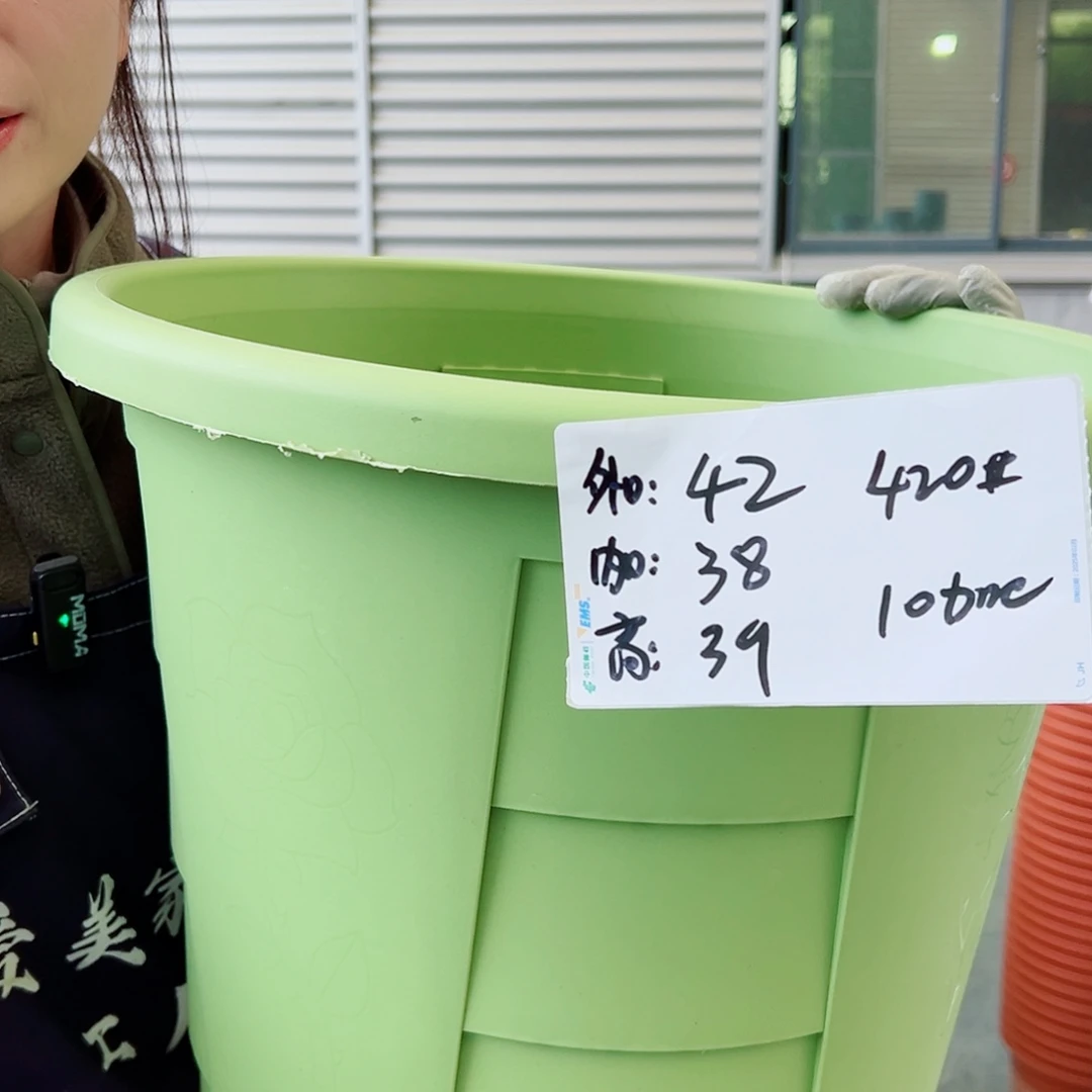 玫瑰盆420#果绿4个无托