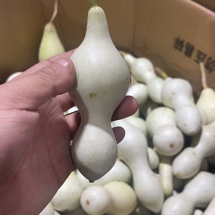 非洲紫檀（红花梨）月*寒