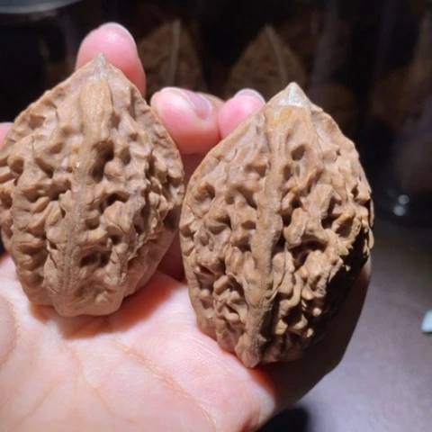 把件文玩核桃东北野生楸子小园 269