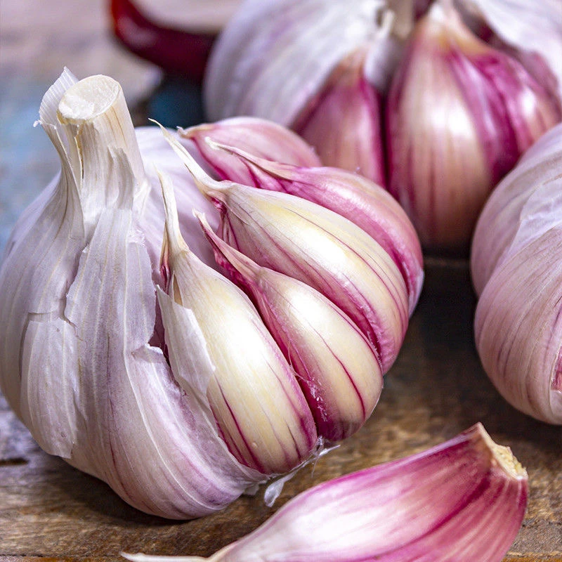 新晒紫皮干蒜饱满辛辣提香可做腊八蒜