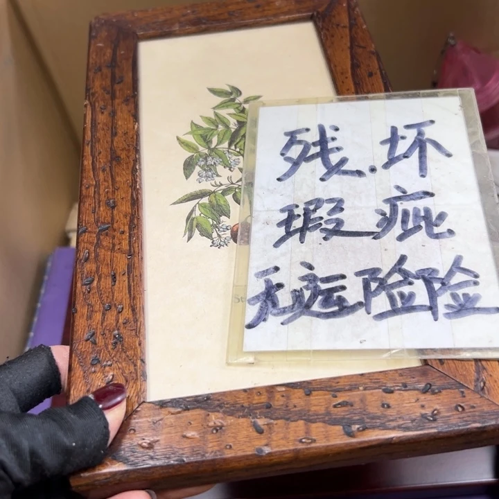 望**龙谢谢谢谢谢谢谢谢谢