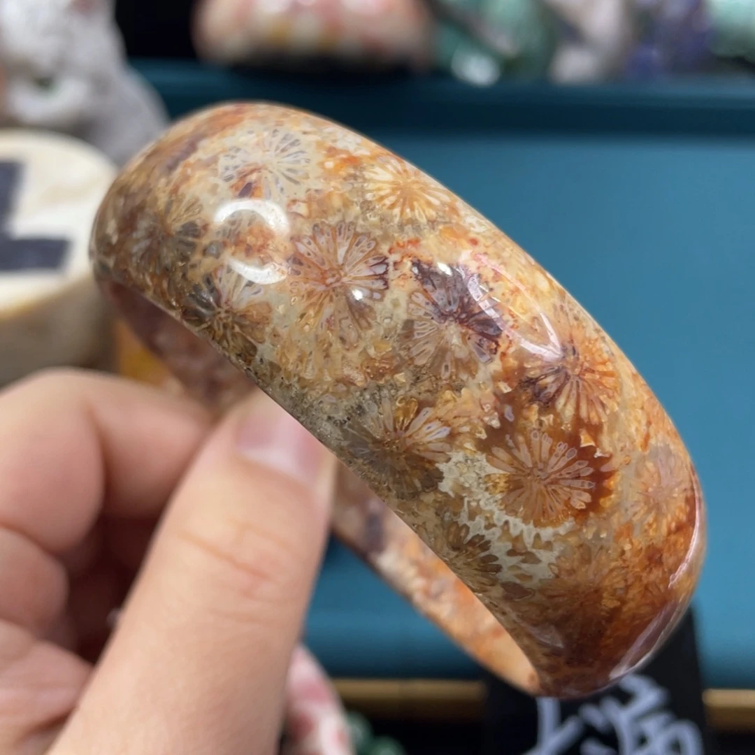 未镶嵌手镯硅化玉