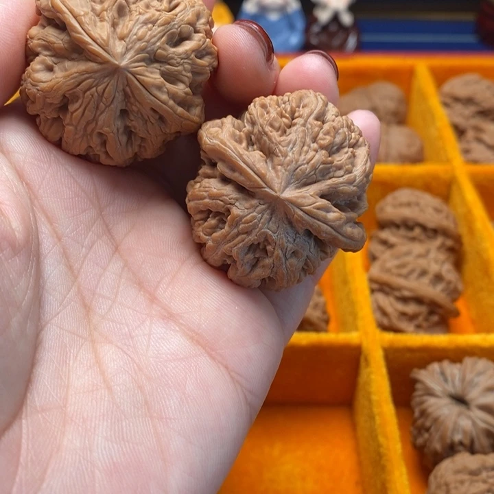 文玩核桃把件40粗筋