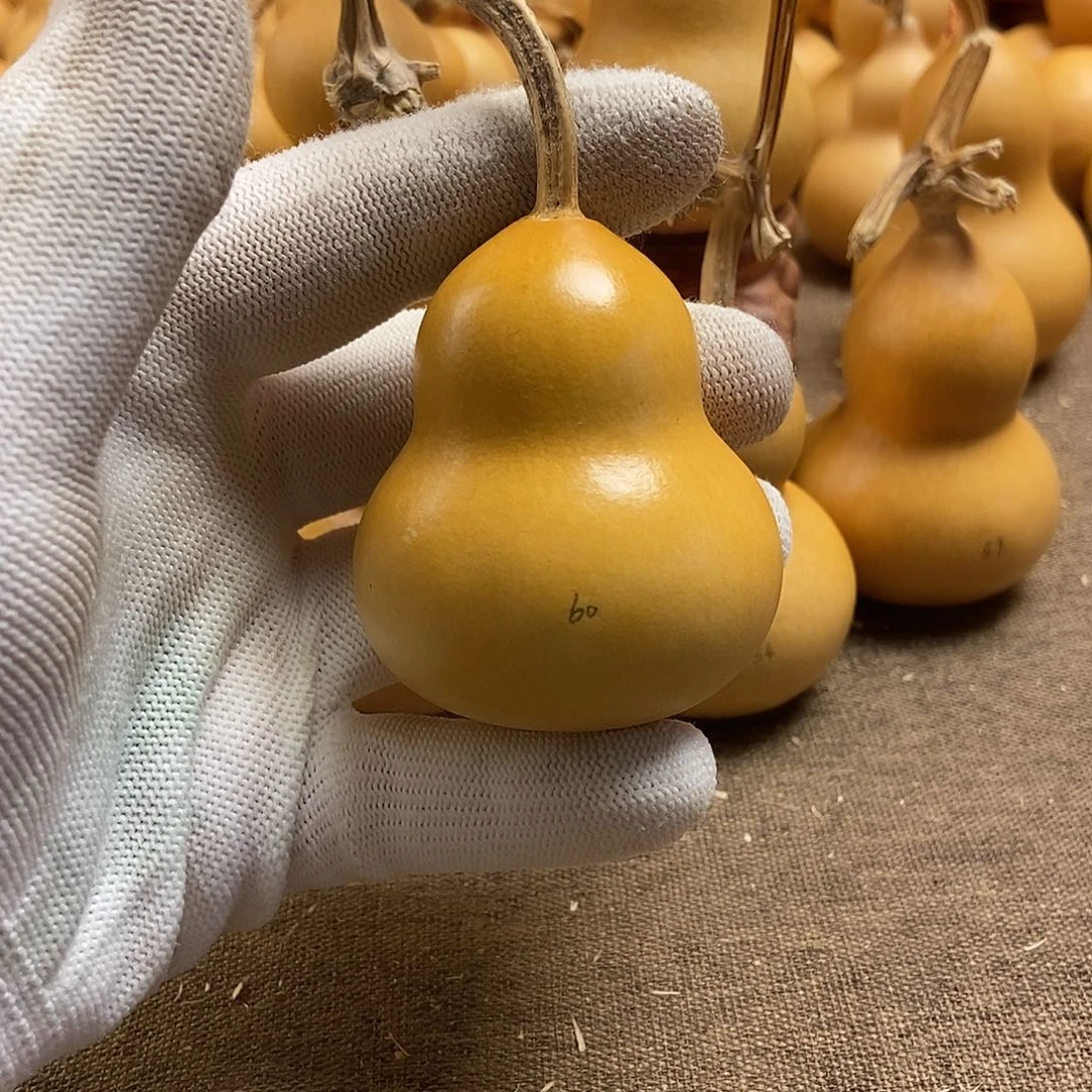 文玩葫芦 完美主义者 慎拍60