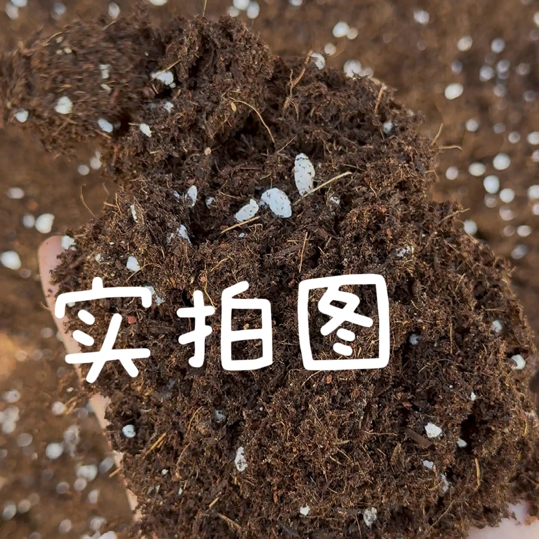 绿植养花通用型有机种植土松梳透气的家用盆栽花卉种植营养土12L