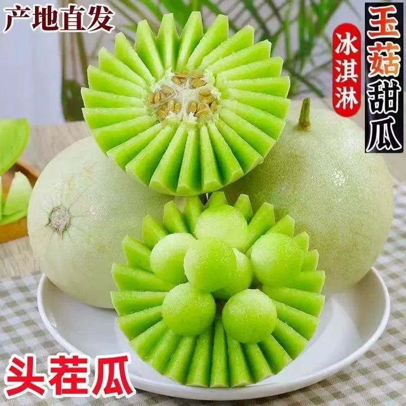 【山东】玉菇甜瓜冰淇淋头茬 4.5/8斤鲜嫩多汁