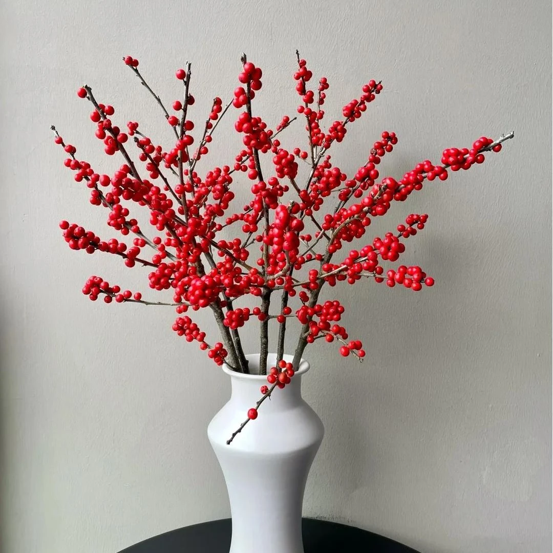 【AB级年宵花】斗南鲜花冬青大花蕙兰大丽花云南直发一单京东包邮