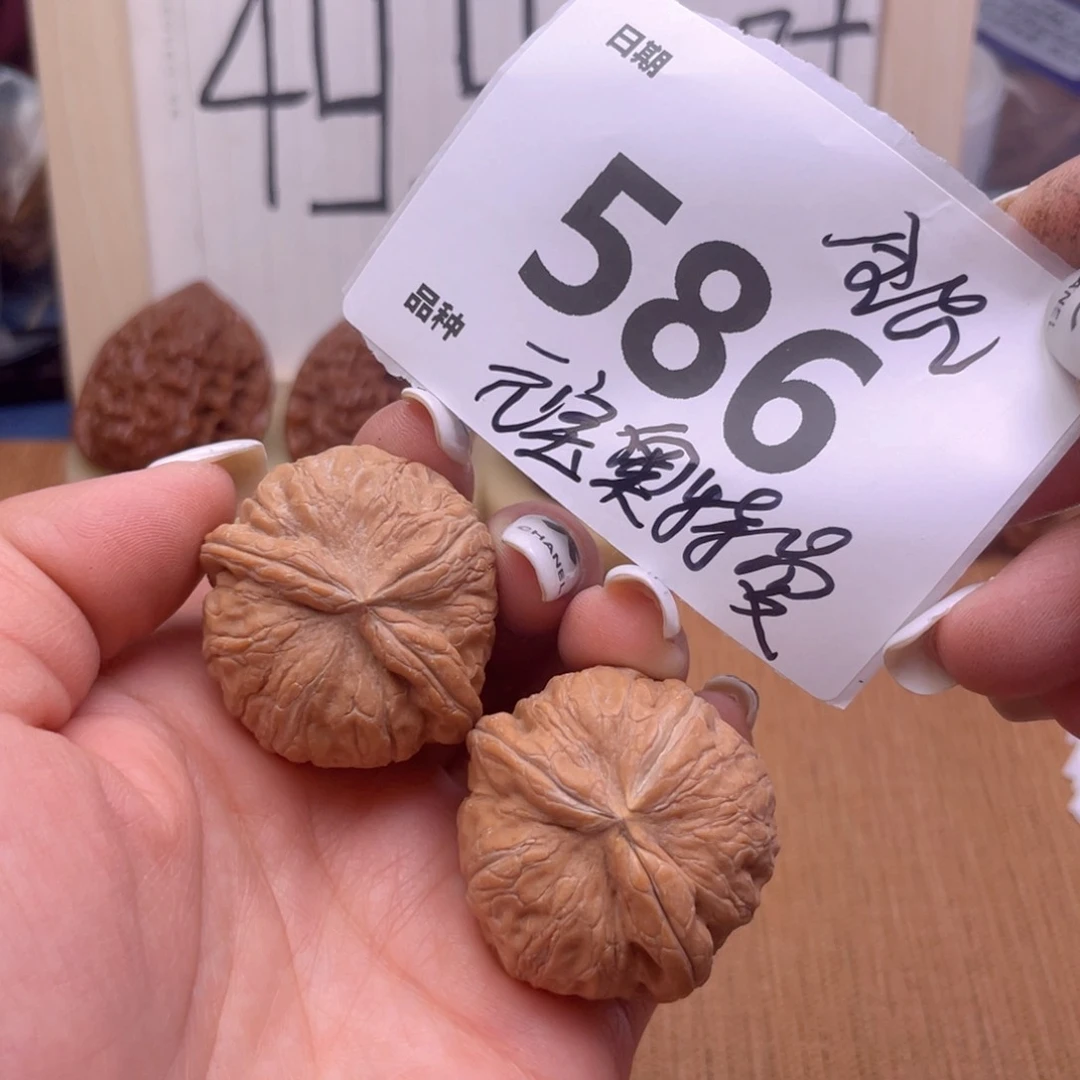 文玩核桃把件586号元宝奥特曼
