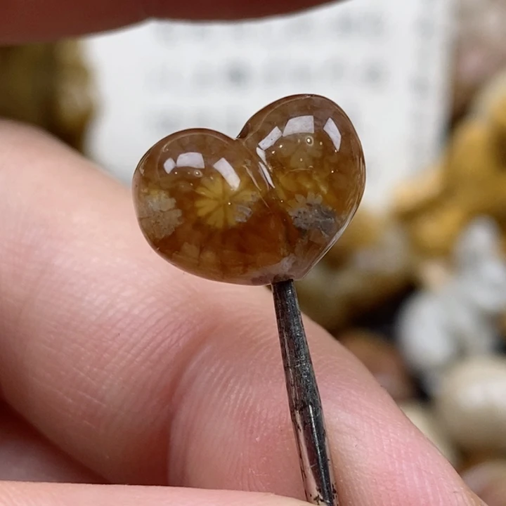 颈饰未镶嵌硅化珊瑚（珊瑚玉）有瑕 小