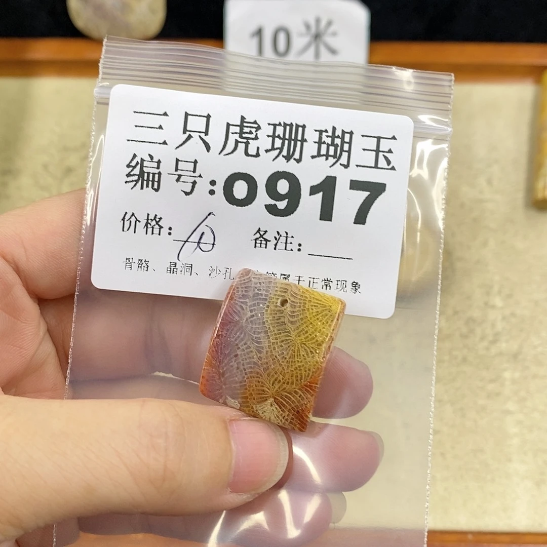 硅化珊瑚（珊瑚玉）1未镶嵌九*里