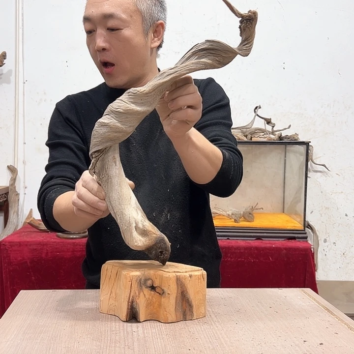 柏木用****6我们都是好孩子呀我也是想
