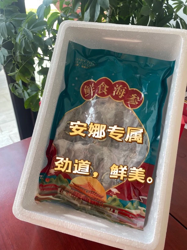 大连鲜食海参、肉厚  鲜美  Q弹