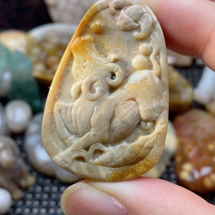 硅化珊瑚（珊瑚玉）颈饰未镶嵌