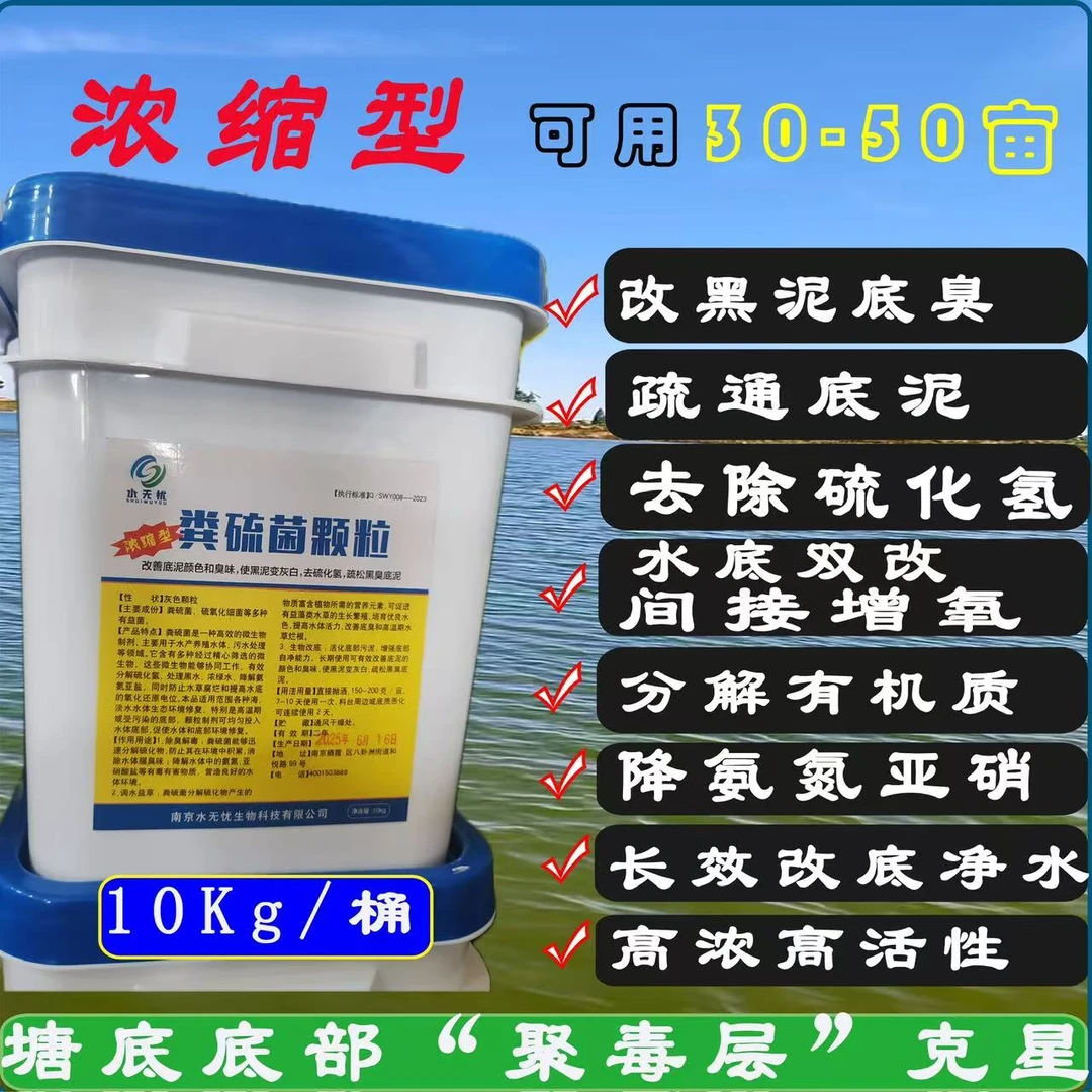水产养殖专用粪硫菌颗粒生物底改除臭净化水质鱼虾蟹