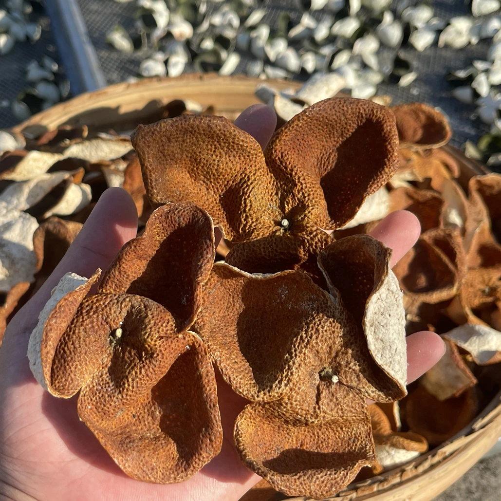 浦北陈皮 2024年（冬后大红皮）转色好糯香气足500g