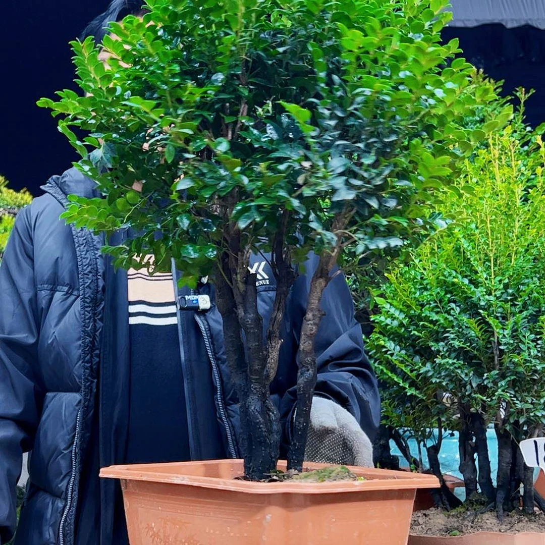 以实际为准丶12345678