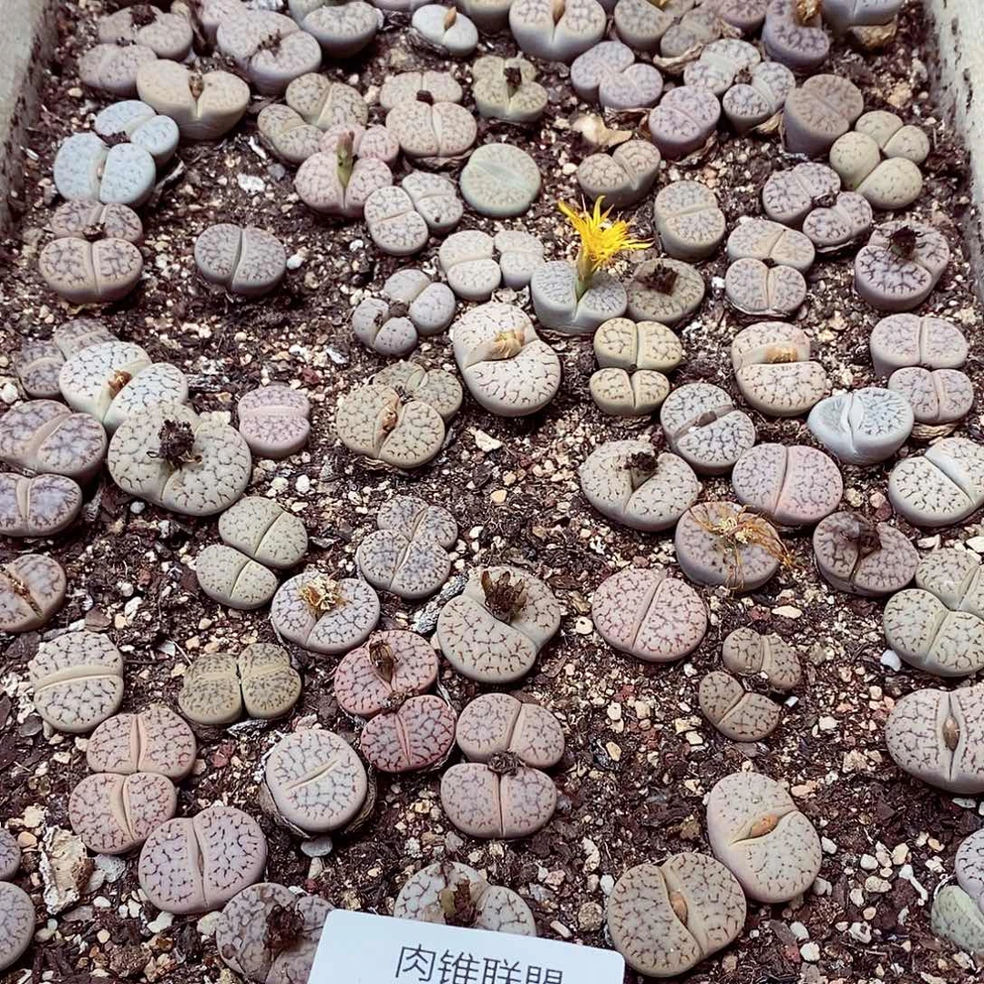 喜****28呃呃呃呃呃呃呃呃呃呃呃