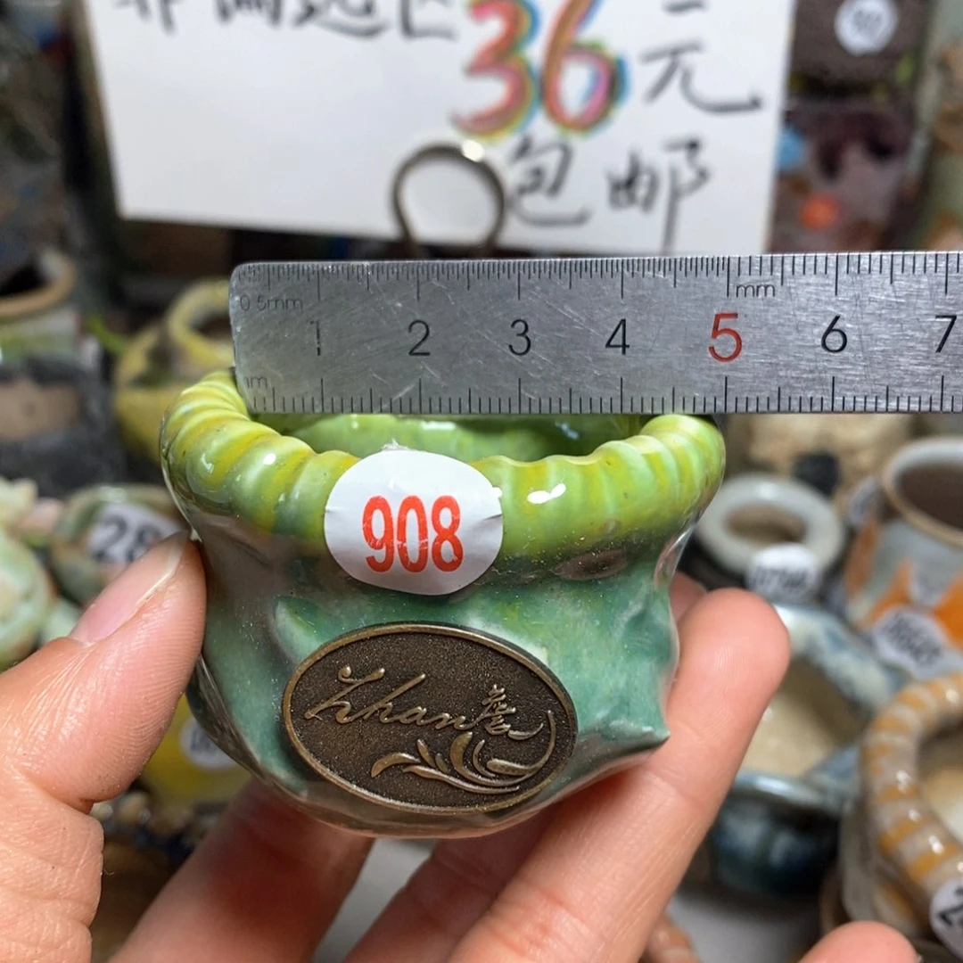 花盆拍5送一个小礼物