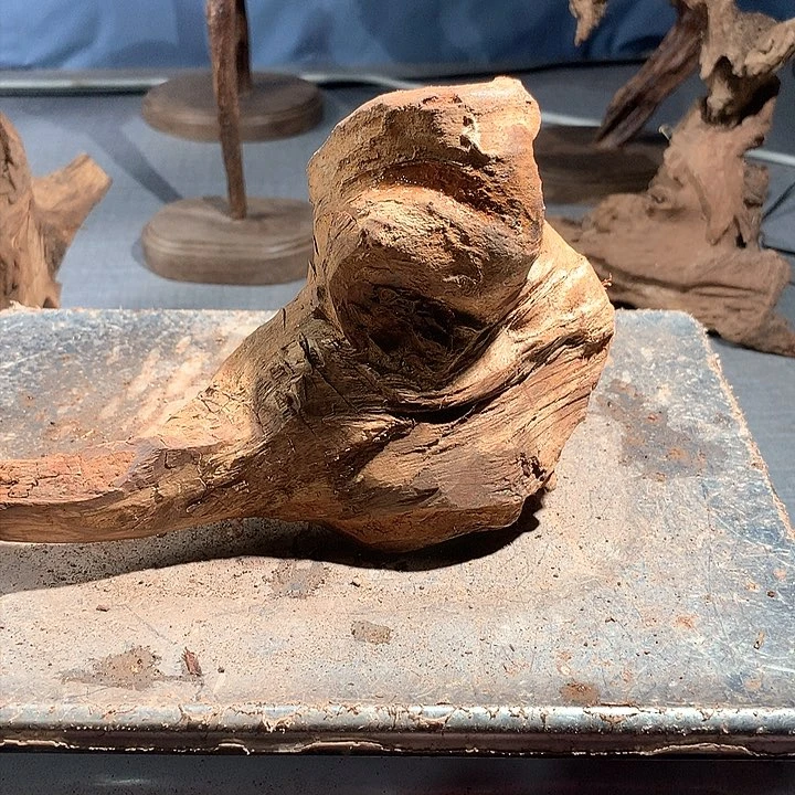 黄花梨/降香黄檀破**瓴原料直发