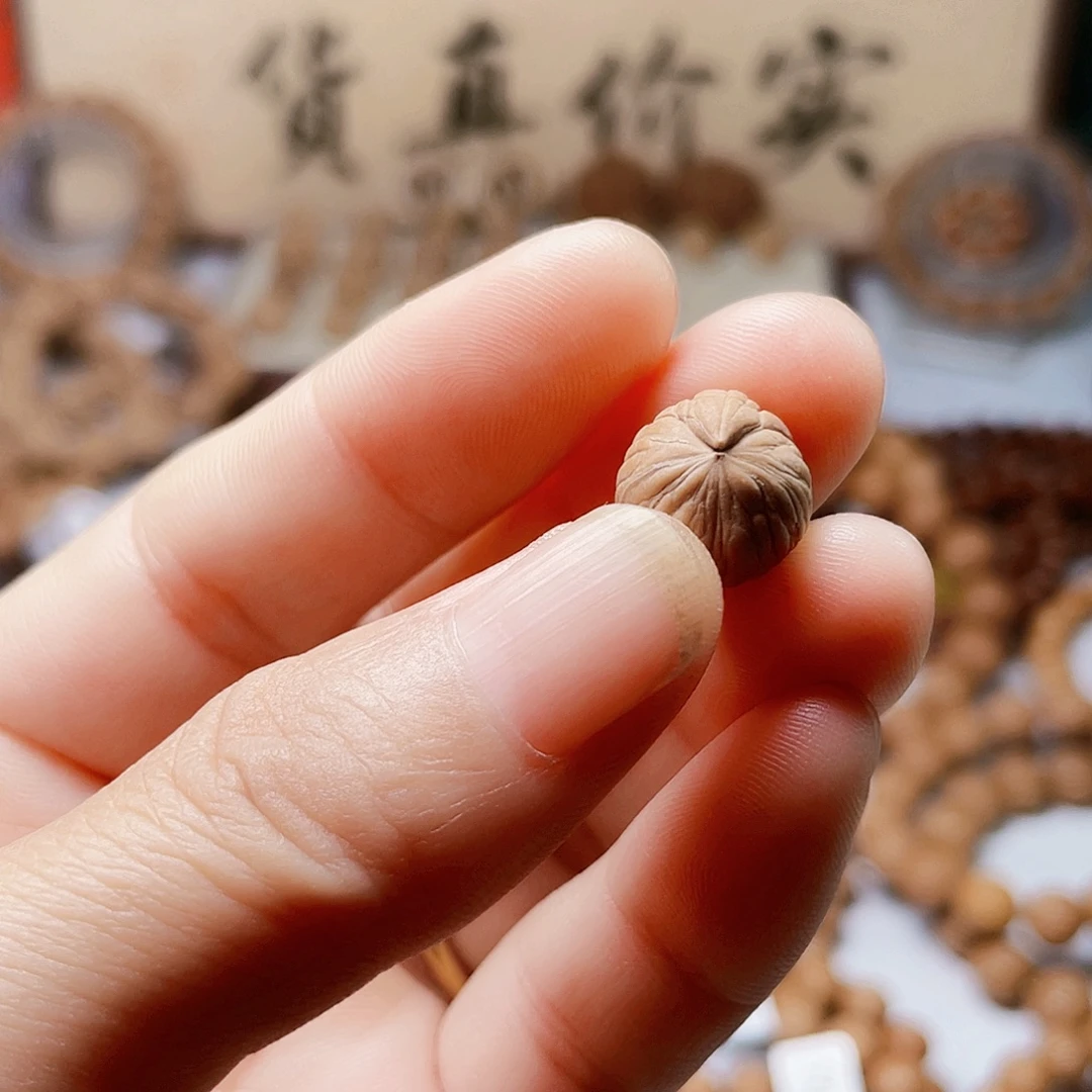 花***圆手串猴头核桃独角