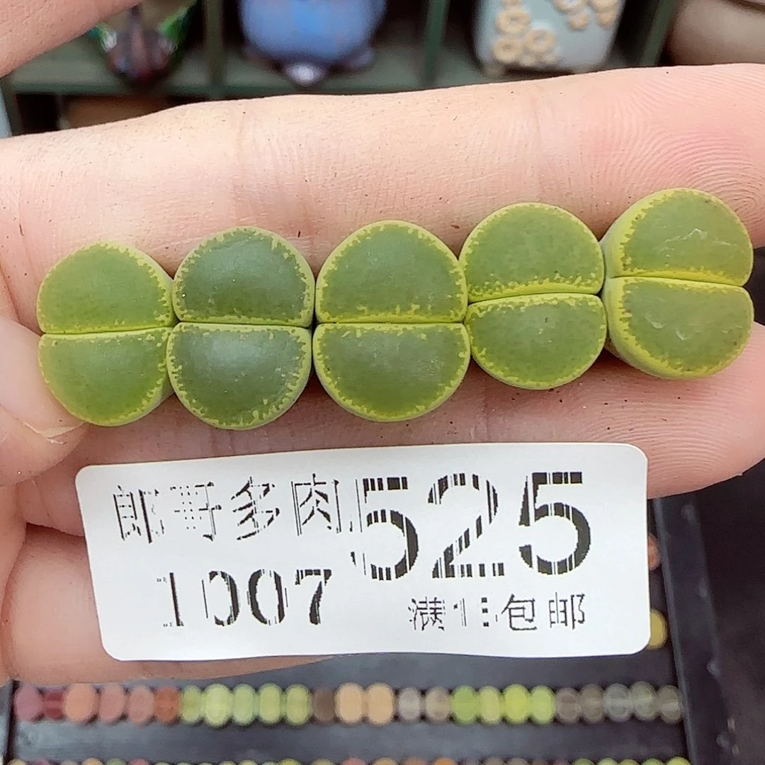 满满18包邮1007-525