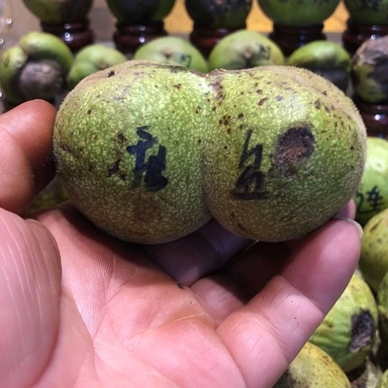 吊坠桃核核桃核桃