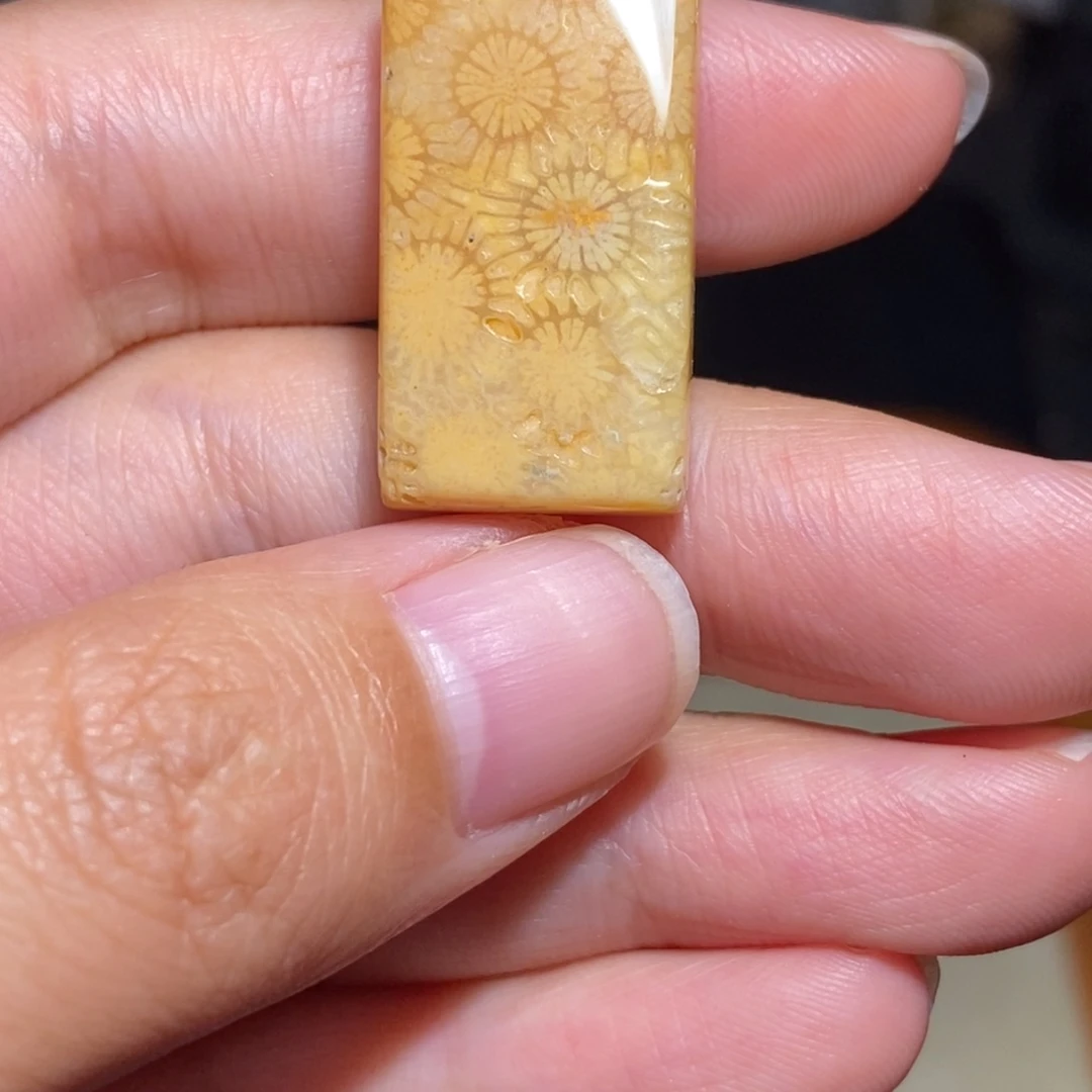 【闪购商品】硅化玉颈饰未镶嵌