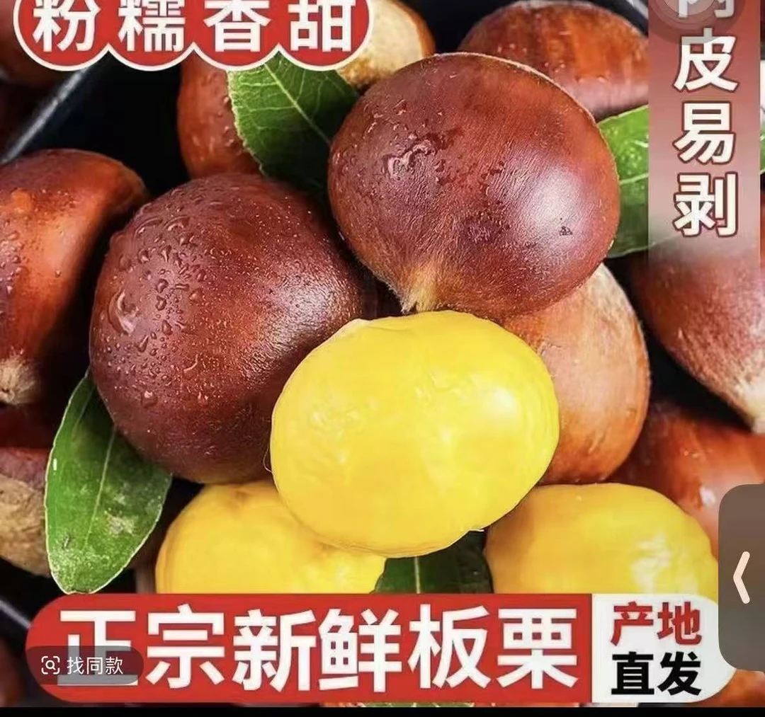 【买三斤送两斤】现摘现发老品种板栗好剥皮香糯可口